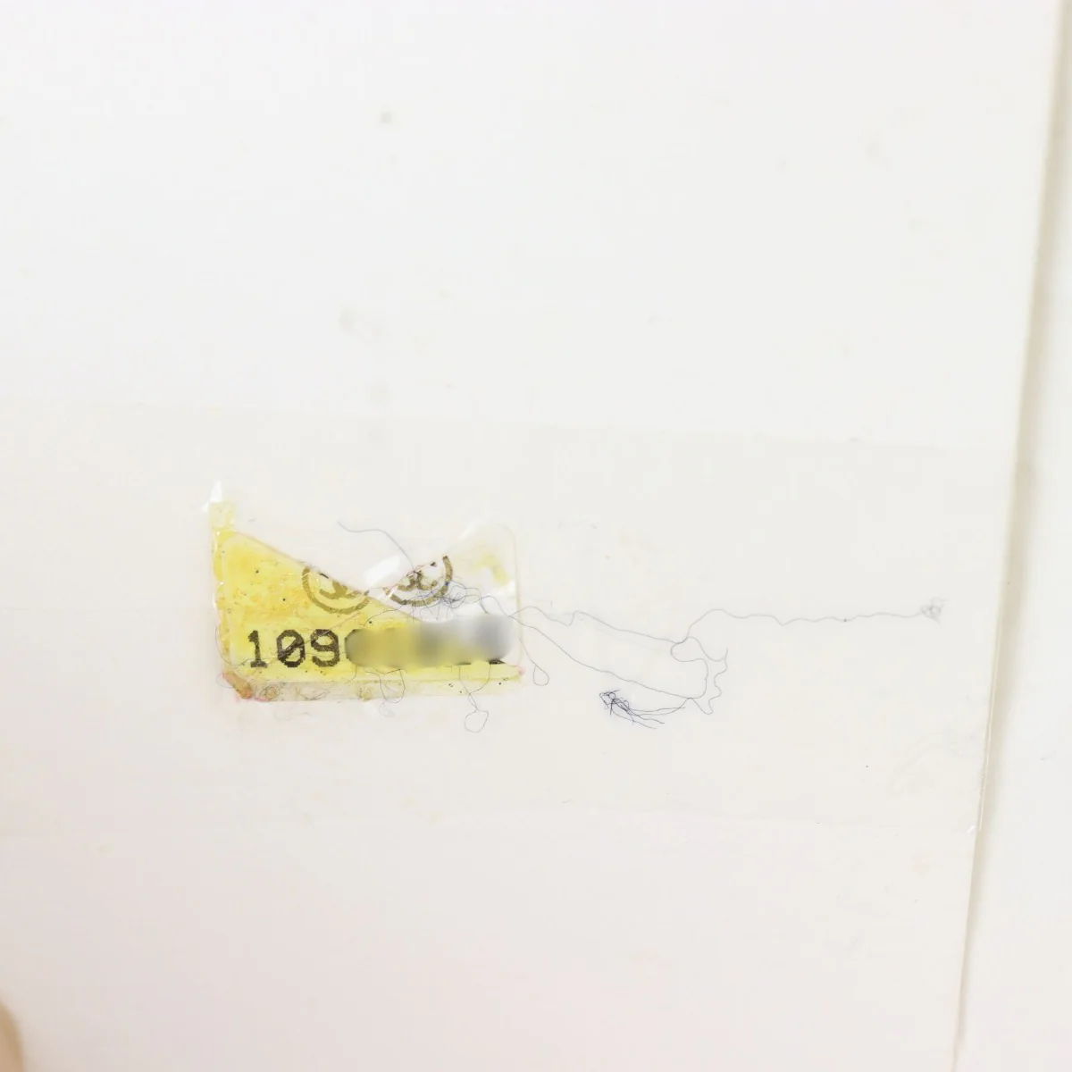 Chanel Classic Double Flap Medium Lambskin - Image 12