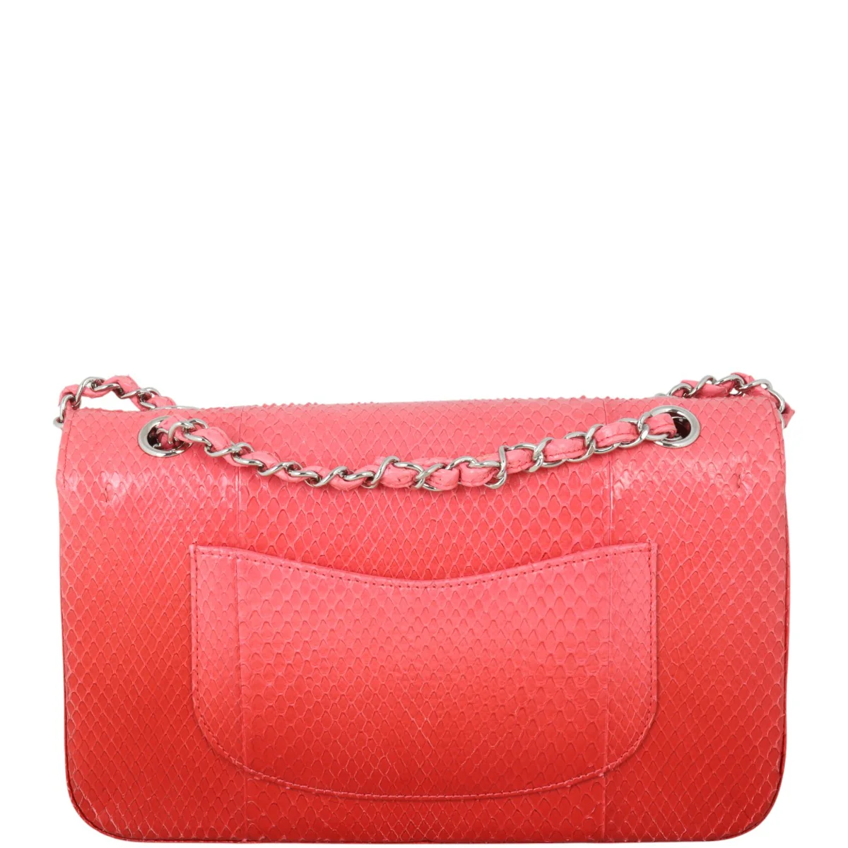 Chanel Classic Double Flap Medium Python Ombre - Image 3