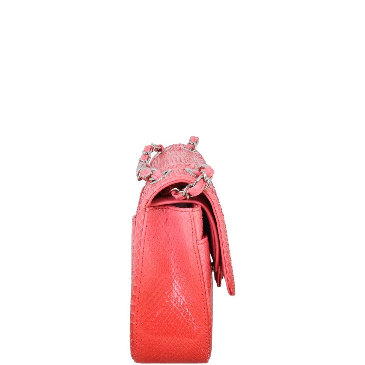 Chanel Classic Double Flap Medium Python Ombre - Image 5