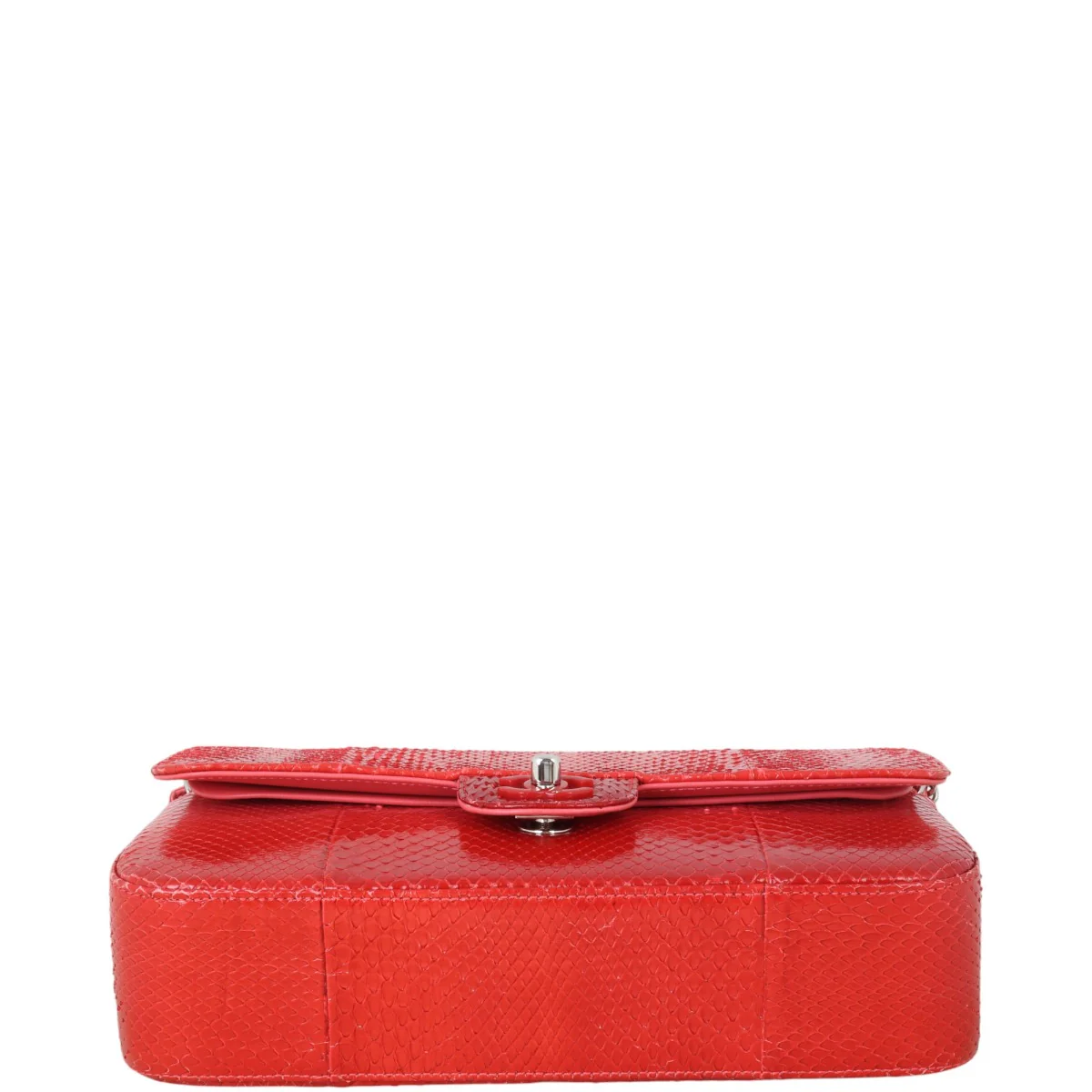 Chanel Classic Double Flap Medium Python Ombre - Image 6