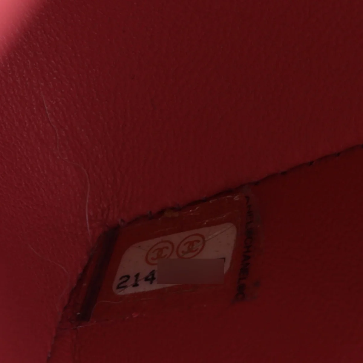 Chanel Classic Double Flap Medium Python Ombre - Image 8