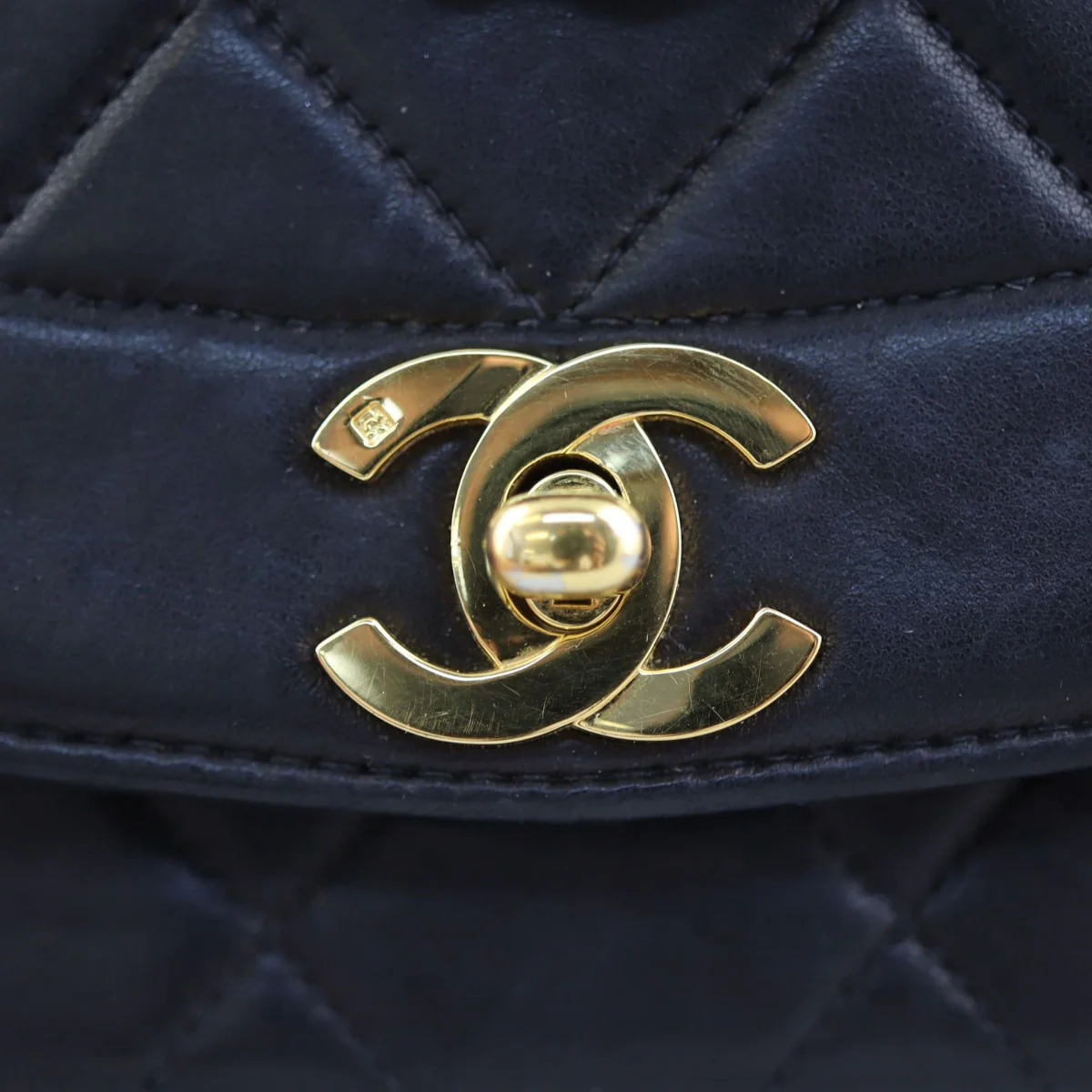 Chanel Diana Flap Bag | Gold Hardware - Image 7