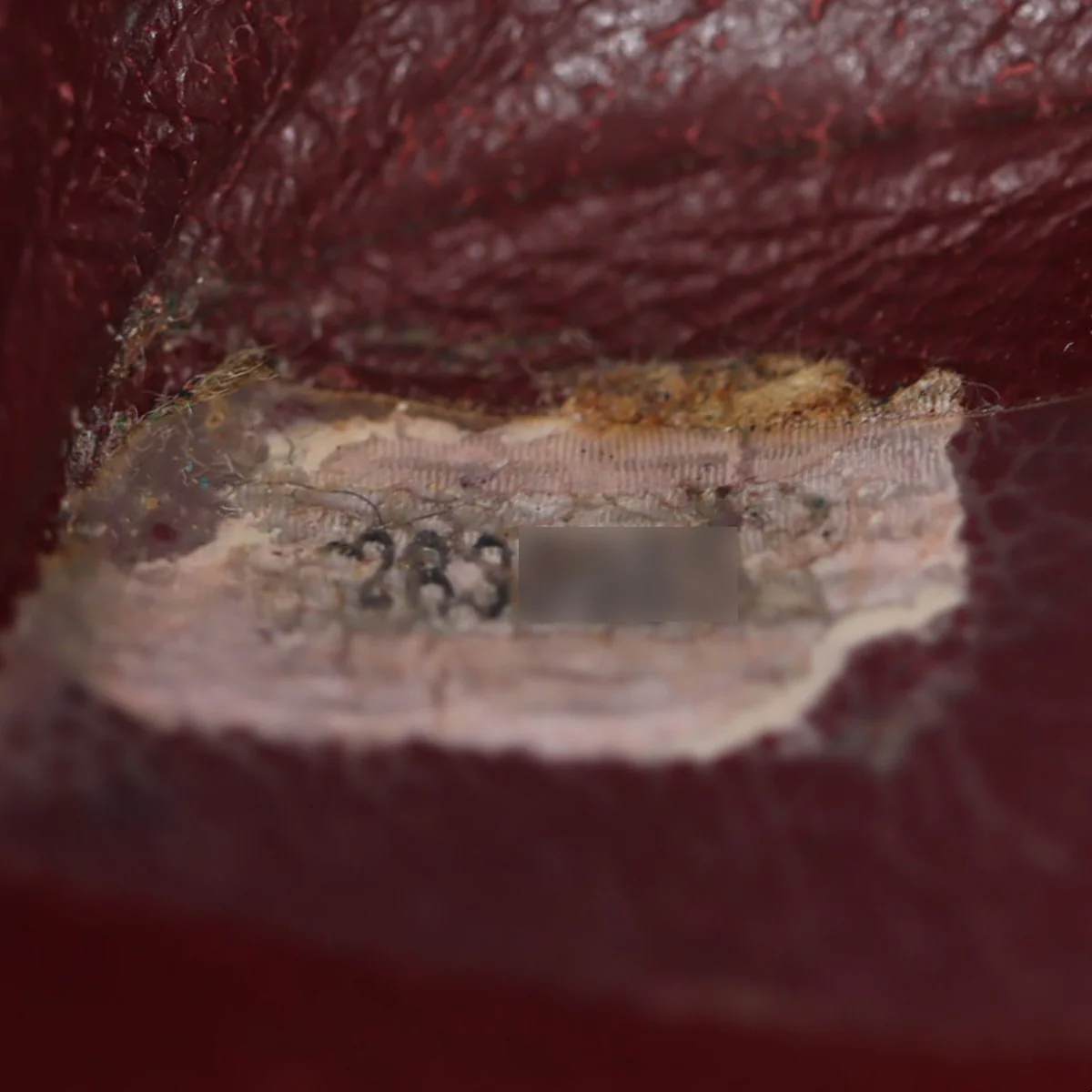 Chanel Diana Flap Bag | Lambskin - Image 10