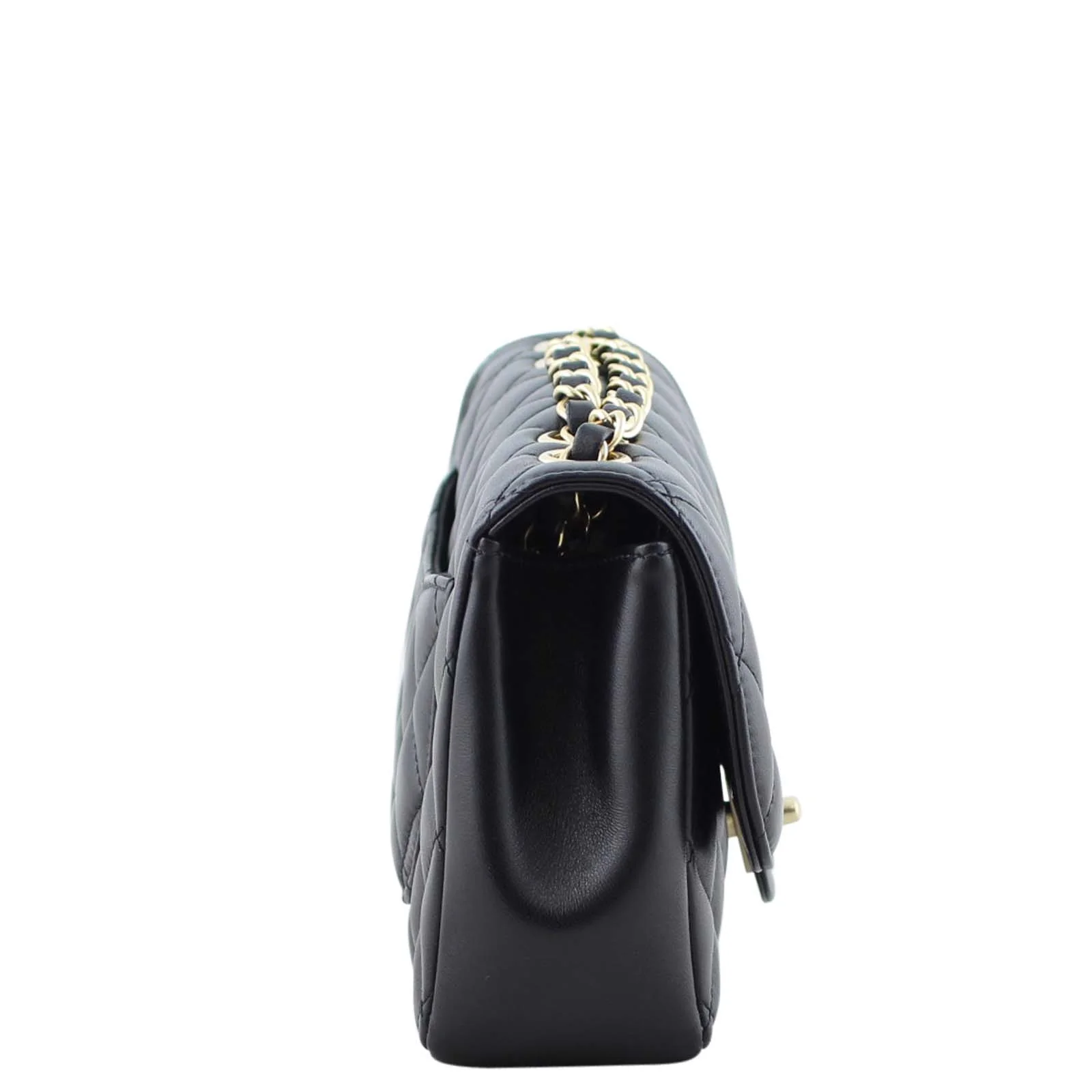 Chanel Quilted Diana Bag - Image 5