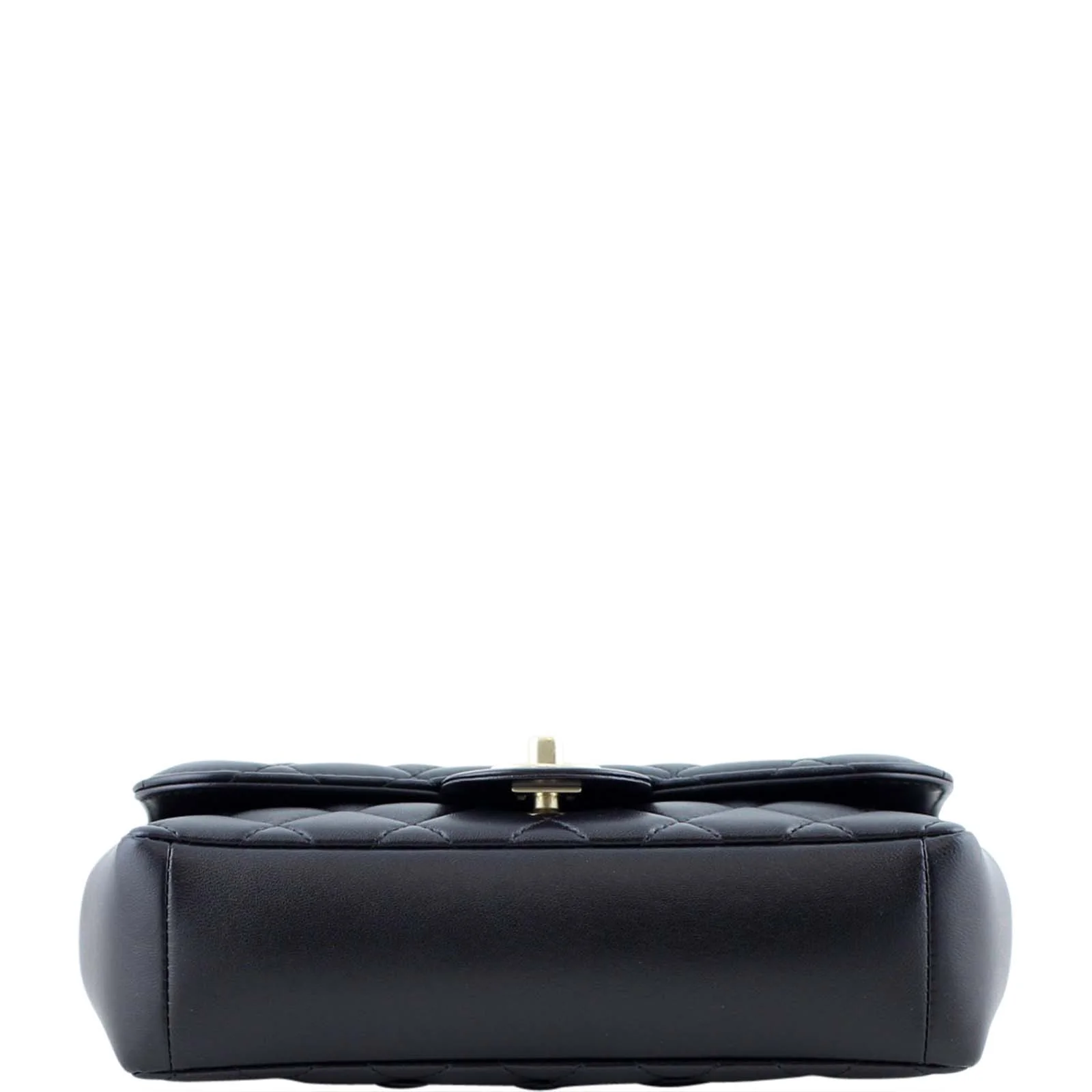 Chanel Quilted Diana Bag - Image 6